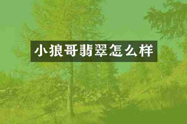 小狼哥翡翠怎么样
