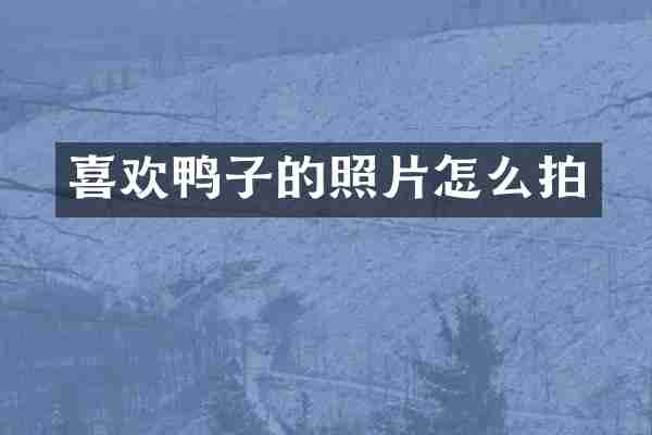 喜欢鸭子的照片怎么拍