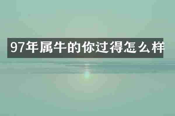 97年属牛的你过得怎么样