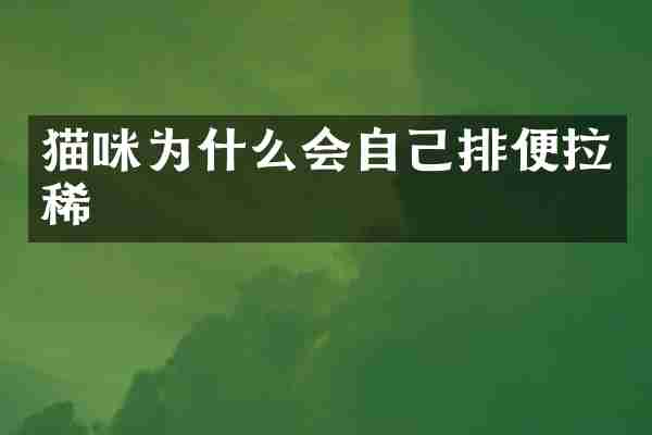 猫咪为什么会自己排便拉稀