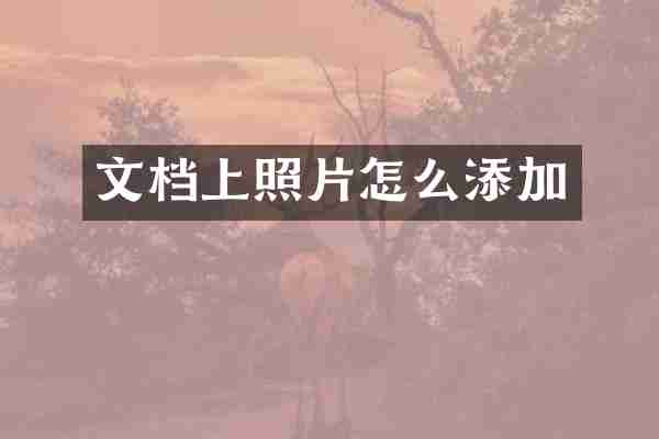 文档上照片怎么添加