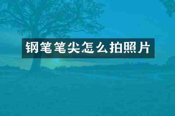 钢笔笔尖怎么拍照片