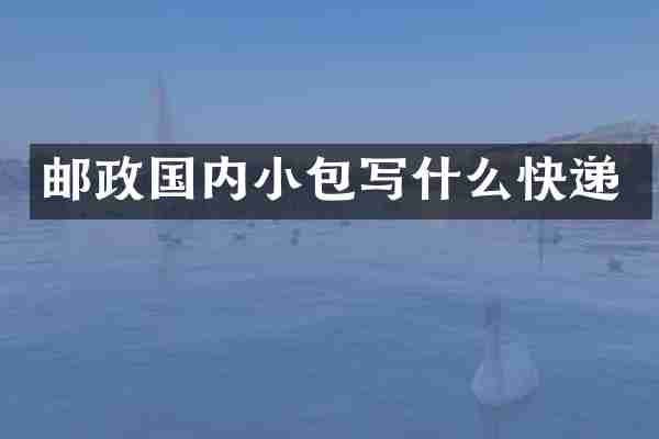 邮政国内小包写什么快递