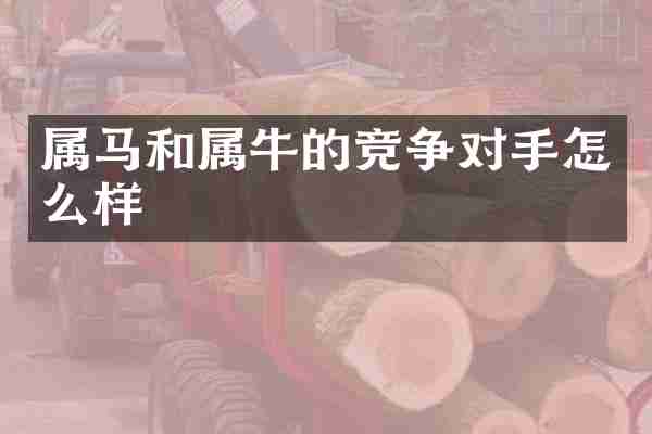 属马和属牛的竞争对手怎么样