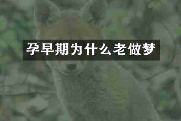 孕早期为什么老做梦