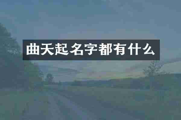 曲天起名字都有什么