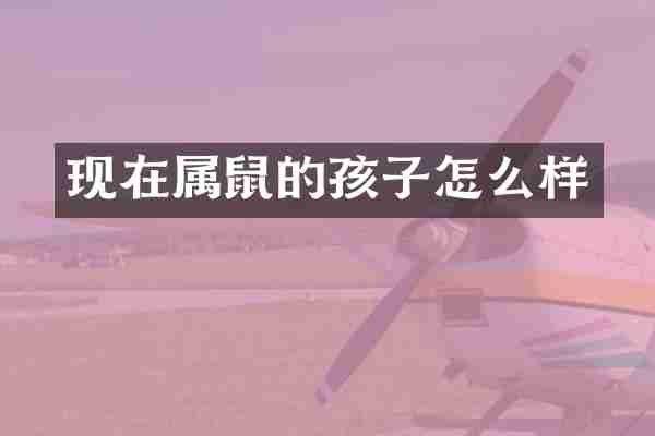 现在属鼠的孩子怎么样
