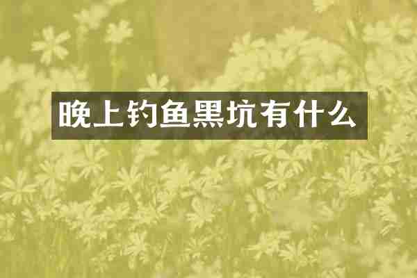 晚上钓鱼黑坑有什么