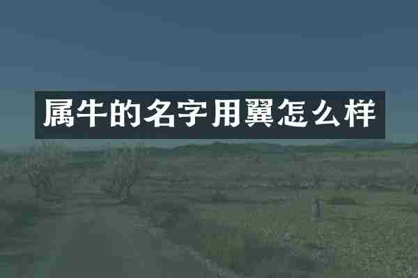 属牛的名字用翼怎么样