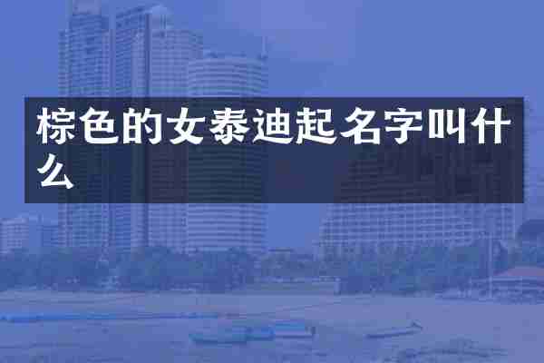 棕色的女泰迪起名字叫什么
