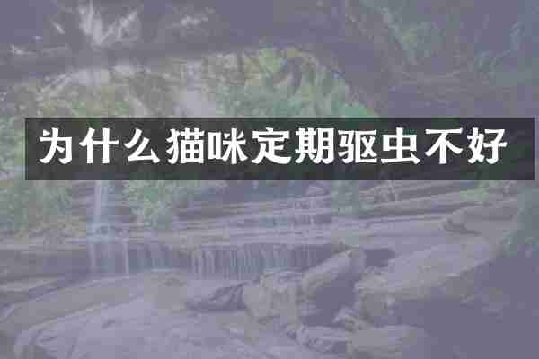 为什么猫咪定期驱虫不好