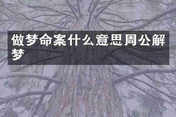 做梦命案什么意思周公解梦