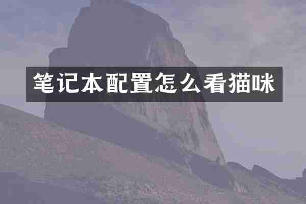 笔记本配置怎么看猫咪