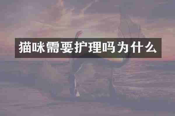 猫咪需要护理吗为什么