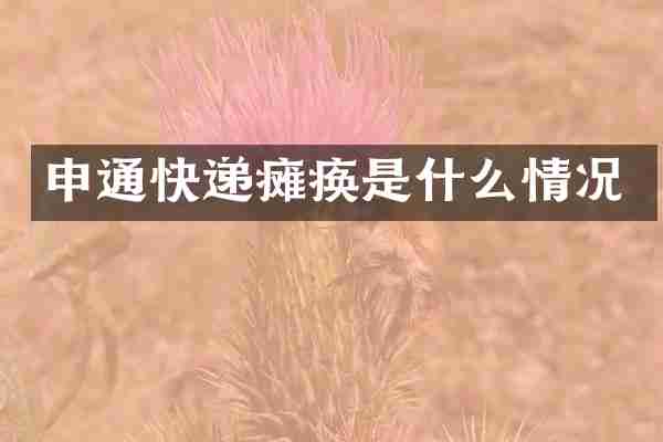 申通快递瘫痪是什么情况