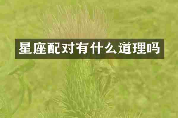星座配对有什么道理吗