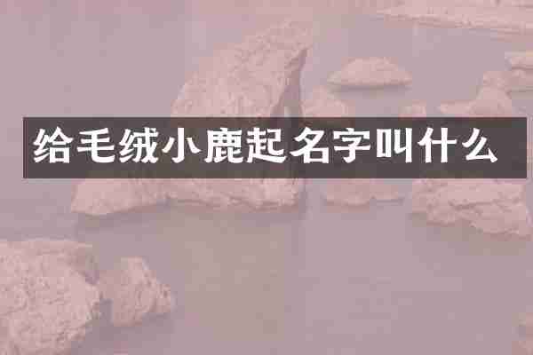 给毛绒小鹿起名字叫什么
