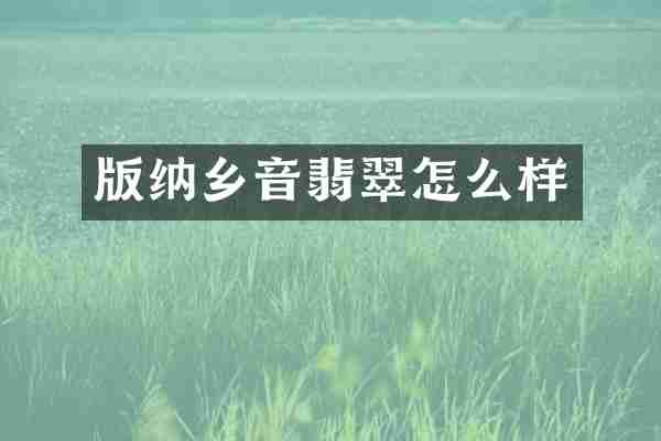版纳乡音翡翠怎么样