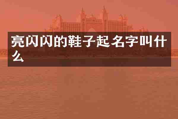 亮闪闪的鞋子起名字叫什么