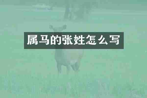 属马的张姓怎么写
