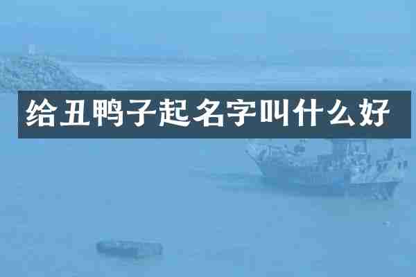 给丑鸭子起名字叫什么好