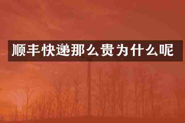 顺丰快递那么贵为什么呢