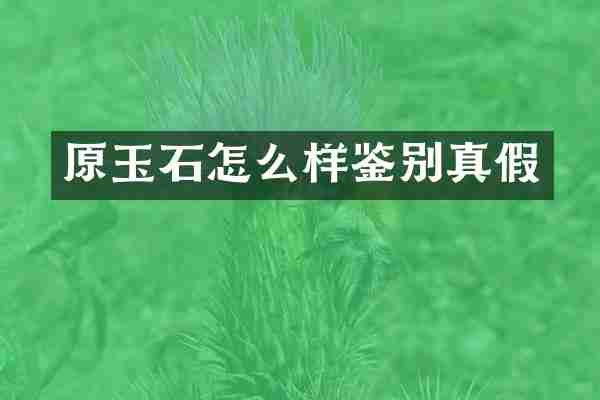 原玉石怎么样鉴别真假