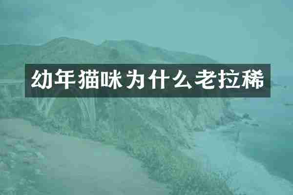 幼年猫咪为什么老拉稀