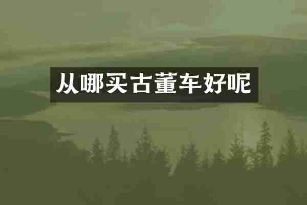 从哪买古董车好呢