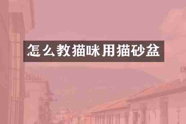 怎么教猫咪用猫砂盆