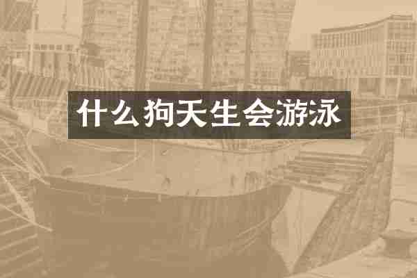 什么狗天生会游泳