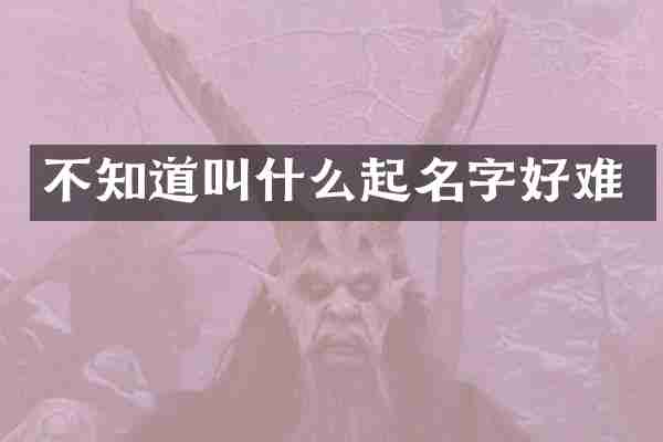 不知道叫什么起名字好难