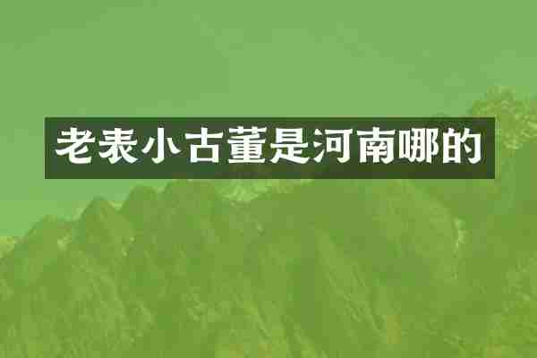 老表小古董是河南哪的