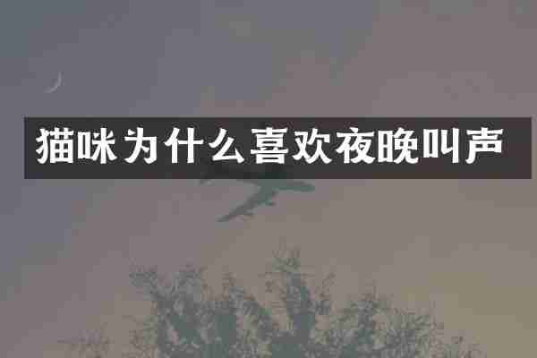 猫咪为什么喜欢夜晚叫声