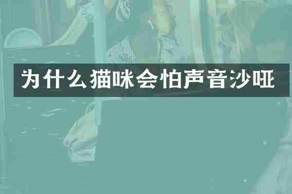 为什么猫咪会怕声音沙哑