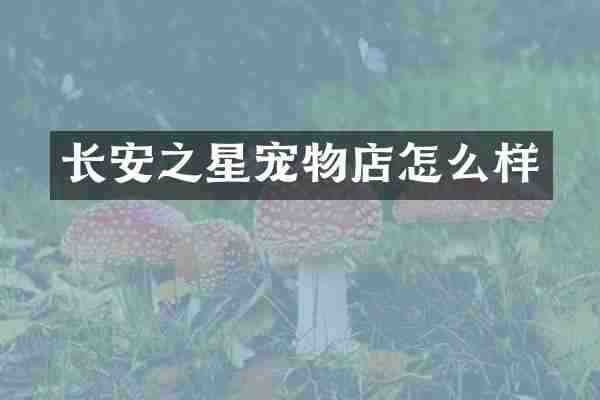 长安之星宠物店怎么样