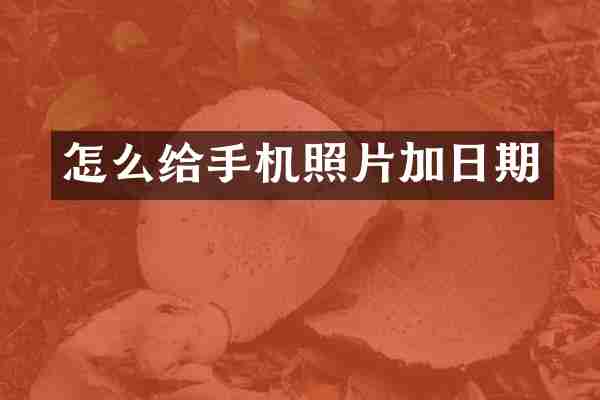怎么给手机照片加日期