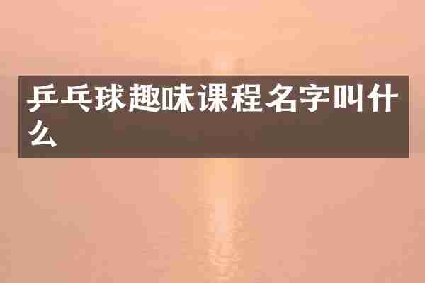 乒乓球趣味课程名字叫什么