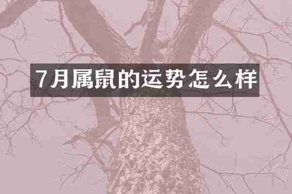 7月属鼠的运势怎么样