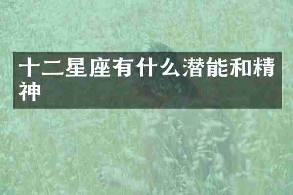 十二星座有什么潜能和精神