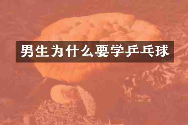 男生为什么要学乒乓球