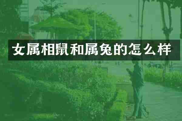 女属相鼠和属兔的怎么样