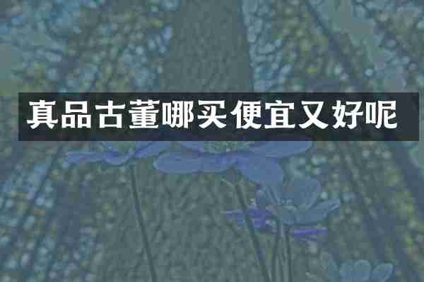 真品古董哪买便宜又好呢