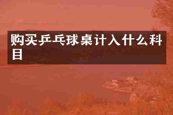 购买乒乓球桌计入什么科目