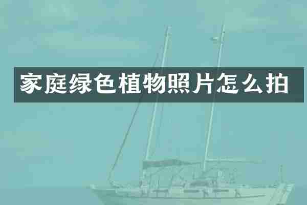 家庭绿色植物照片怎么拍