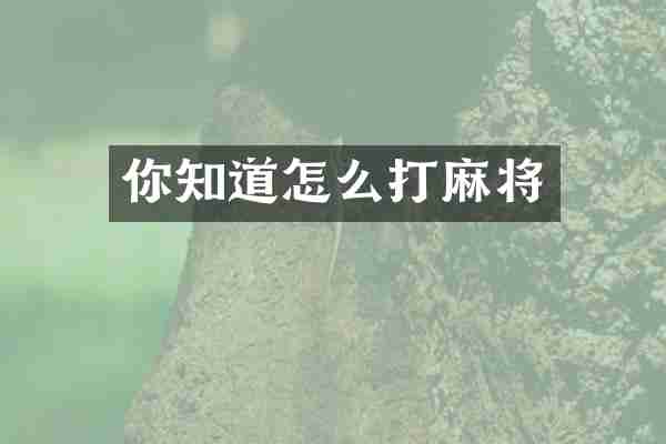你知道怎么打麻将