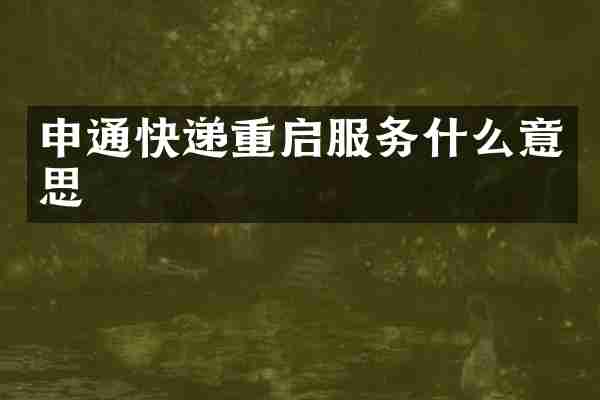 申通快递重启服务什么意思