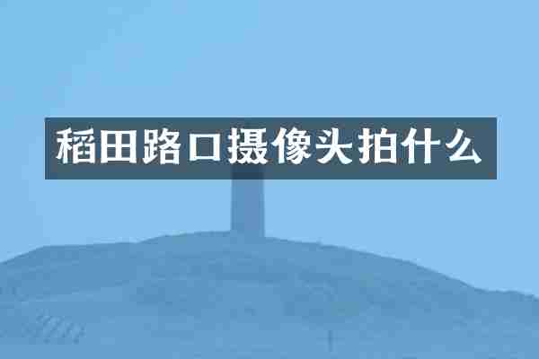 稻田路口摄像头拍什么