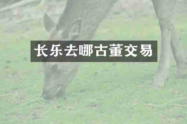 长乐去哪古董交易