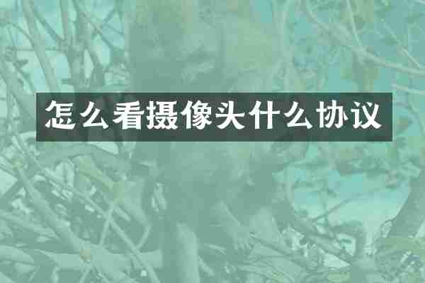 怎么看摄像头什么协议